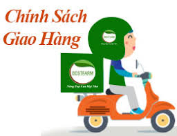 Chính sách giao hàng- thanh toán Công tyTNHH Nguyễn Minh H.D
